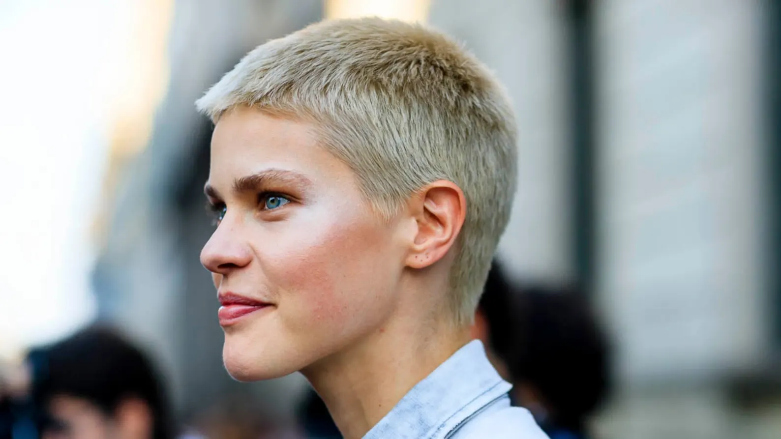 Professional Buzz Cut